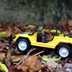 Close up of a Xavante on its natural habitat: Off road